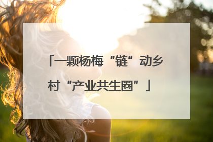 一颗杨梅“链”动乡村“产业共生圈”