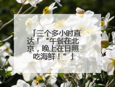 三个多小时直达！“午餐在北京，晚上在日照吃海鲜！”