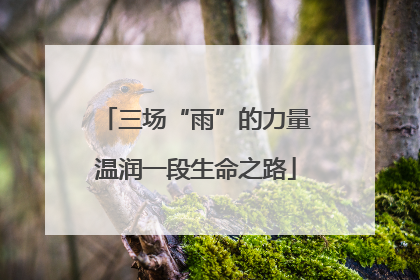 三场“雨”的力量温润一段生命之路