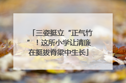 三姿挺立“正气竹”！这所小学让清廉在挺拔脊梁中生长