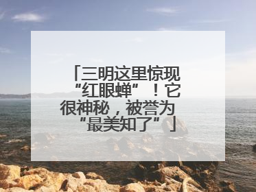 三明这里惊现“红眼蝉”！它很神秘，被誉为“最美知了”