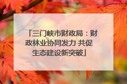 三门峡市财政局：财政林业协同发力 共促生态建设新突破