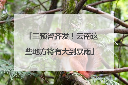 三预警齐发！云南这些地方将有大到暴雨