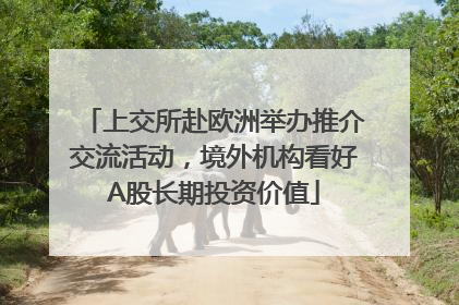 上交所赴欧洲举办推介交流活动，境外机构看好A股长期投资价值