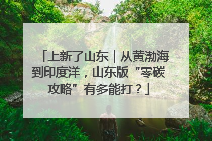 上新了山东｜从黄渤海到印度洋，山东版“零碳攻略”有多能打？