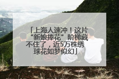 上海人速冲！这片“新娘捧花”阶梯藏不住了，近5万株绣球花如梦似幻