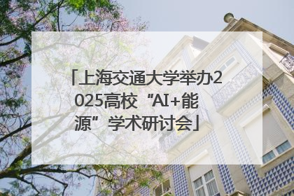 上海交通大学举办2025高校“AI+能源”学术研讨会