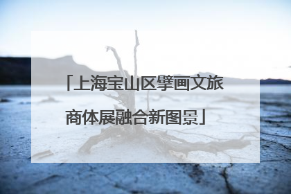 上海宝山区擘画文旅商体展融合新图景