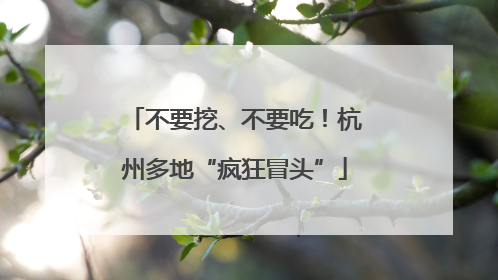 不要挖、不要吃！杭州多地“疯狂冒头”