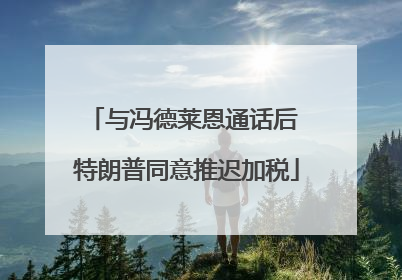与冯德莱恩通话后 特朗普同意推迟加税