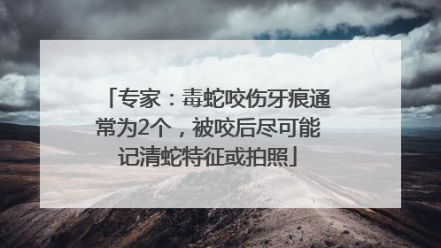 专家：毒蛇咬伤牙痕通常为2个，被咬后尽可能记清蛇特征或拍照