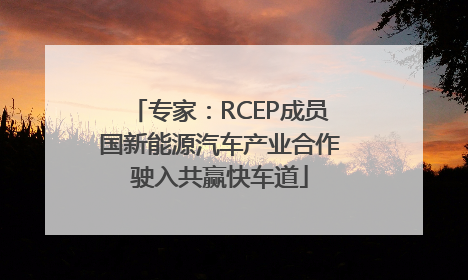 专家：RCEP成员国新能源汽车产业合作驶入共赢快车道
