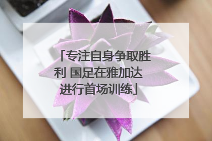 专注自身争取胜利 国足在雅加达进行首场训练