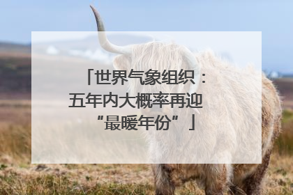 世界气象组织：五年内大概率再迎“最暖年份”