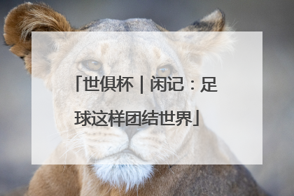 世俱杯｜闲记：足球这样团结世界