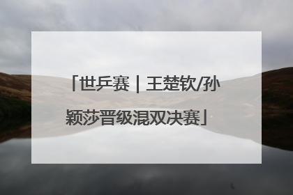 世乒赛｜王楚钦/孙颖莎晋级混双决赛