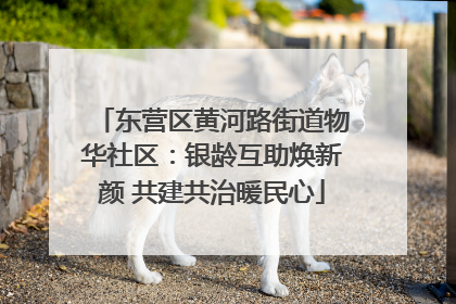 东营区黄河路街道物华社区：银龄互助焕新颜 共建共治暖民心