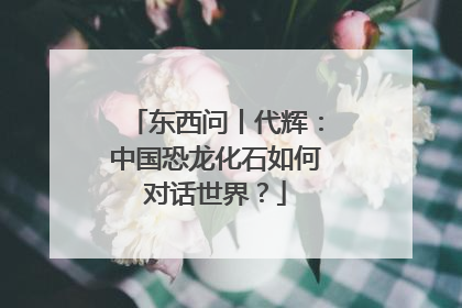 东西问丨代辉：中国恐龙化石如何对话世界？