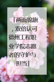 两面锦旗，双倍认可德州工程职业学院志愿者的守护与担当