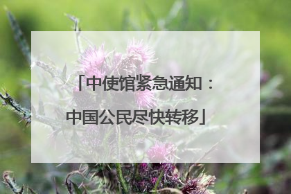中使馆紧急通知：中国公民尽快转移