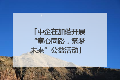 中企在加蓬开展“童心同路，筑梦未来”公益活动