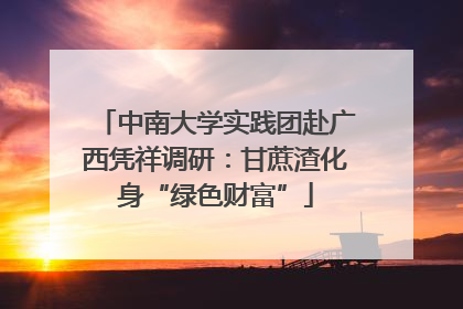 中南大学实践团赴广西凭祥调研：甘蔗渣化身“绿色财富”