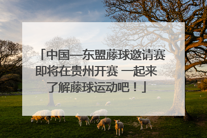 中国—东盟藤球邀请赛即将在贵州开赛 一起来了解藤球运动吧！