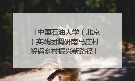 中国石油大学（北京）实践团调研南马庄村解码乡村振兴新路径