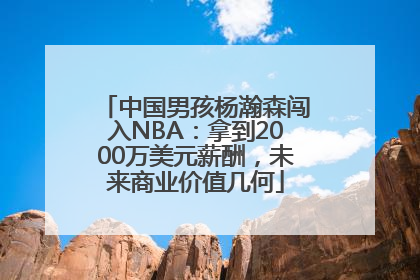 中国男孩杨瀚森闯入NBA：拿到2000万美元薪酬，未来商业价值几何