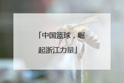 中国篮球，崛起浙江力量