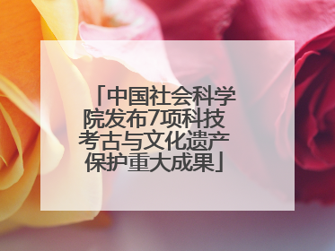 中国社会科学院发布7项科技考古与文化遗产保护重大成果