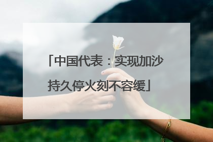 中国代表：实现加沙持久停火刻不容缓