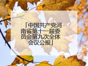 中国共产党河南省第十一届委员会第九次全体会议公报