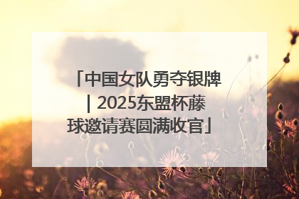 中国女队勇夺银牌｜2025东盟杯藤球邀请赛圆满收官