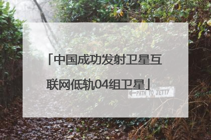 中国成功发射卫星互联网低轨04组卫星