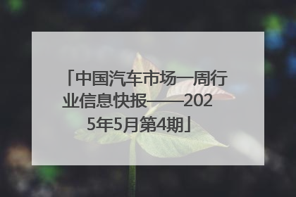 中国汽车市场一周行业信息快报——2025年5月第4期
