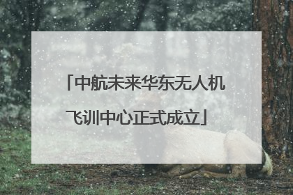 中航未来华东无人机飞训中心正式成立