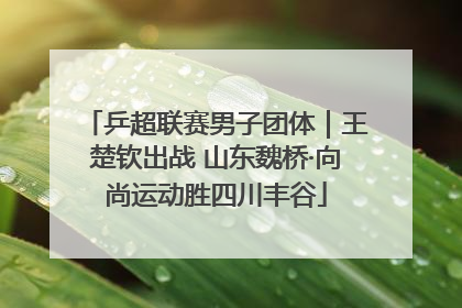 乒超联赛男子团体｜王楚钦出战 山东魏桥·向尚运动胜四川丰谷