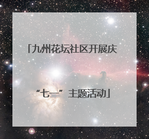 九州花坛社区开展庆“七一”主题活动