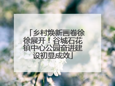 乡村焕新画卷徐徐展开！谷城石花镇中心公园奋进建设初显成效