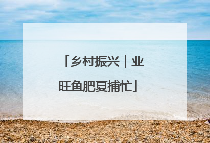 乡村振兴｜业旺鱼肥夏捕忙