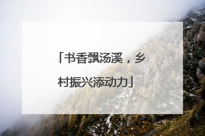 书香飘汤溪，乡村振兴添动力