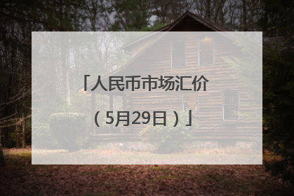 人民币市场汇价（5月29日）