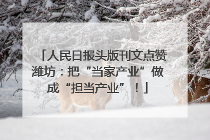 人民日报头版刊文点赞潍坊：把“当家产业”做成“担当产业”！