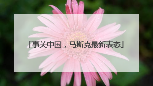 事关中国，马斯克最新表态