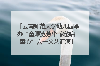 云南师范大学幼儿园举办“童眼览芳华·家韵启童心”六一文艺汇演