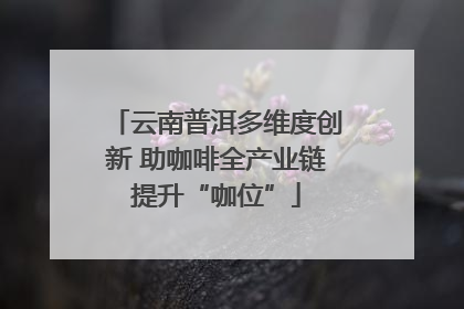 云南普洱多维度创新 助咖啡全产业链提升“咖位”