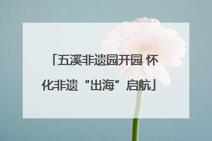 五溪非遗园开园 怀化非遗“出海”启航
