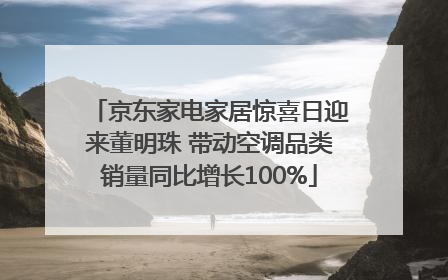 京东家电家居惊喜日迎来董明珠 带动空调品类销量同比增长100%