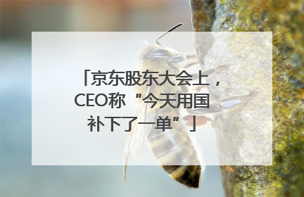 京东股东大会上，CEO称“今天用国补下了一单”